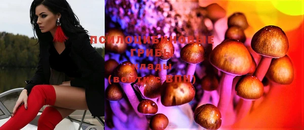 ECSTASY Мегион