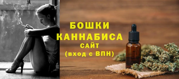 стаф Медногорск