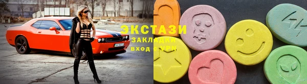 стаф Медногорск