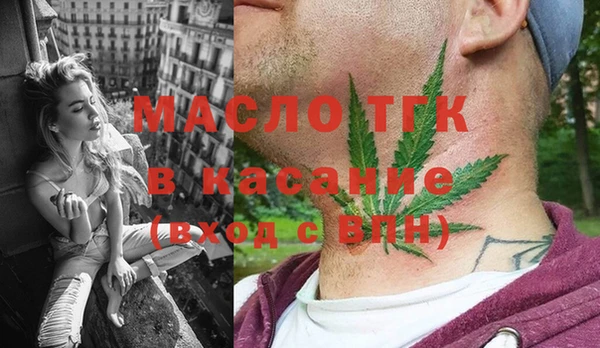 стаф Медногорск