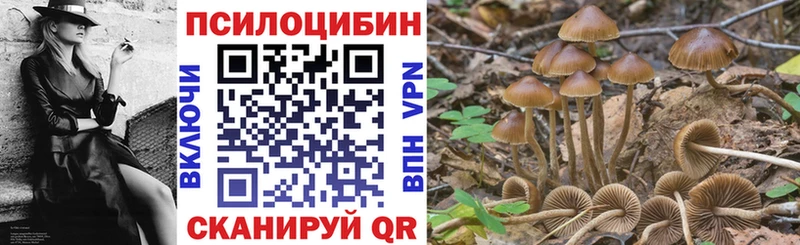 Купить закладки  Куса  Псилоцибиновые грибы мицелий 